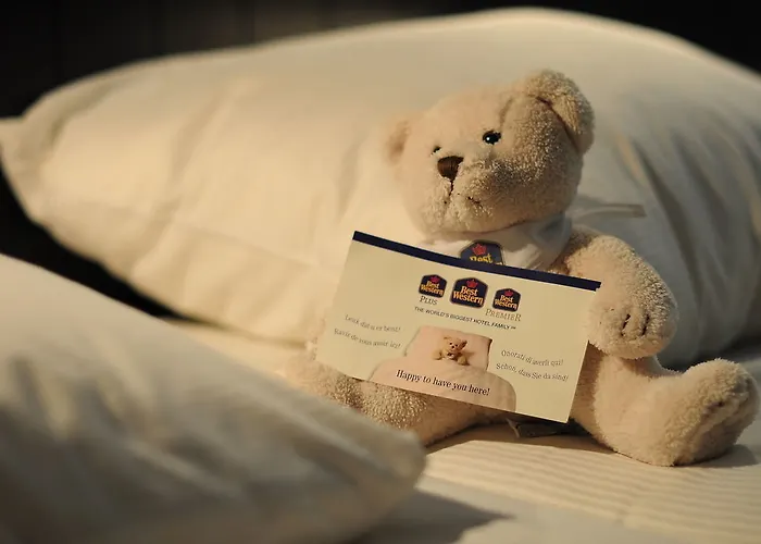 Western 3* 와브르